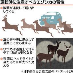 北海道 シカと車衝突 道央で急増 夕方から朝 が9割 群れで移動する習性があり 連続して飛び出してくる 1頭見たら減速を クラーク速報