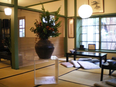 紫藤蘆