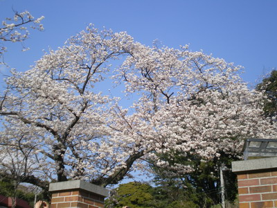 元町公園