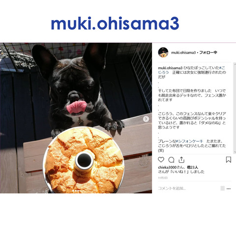 muki.ohisama3-3