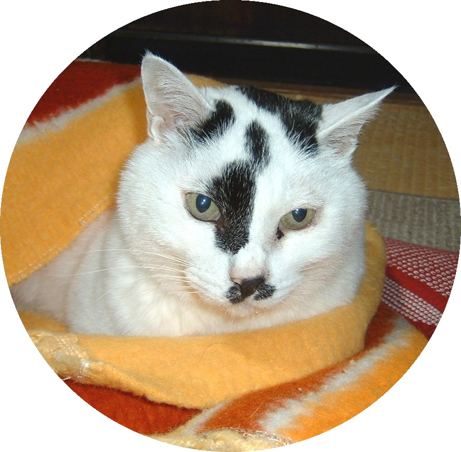 クロちゃん長寿動物表彰 Class ブログ