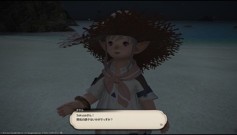 ffxiv_23031802
