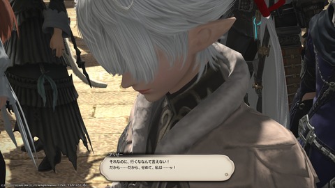 ffxiv_22120809