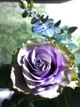 0193f799.jpg