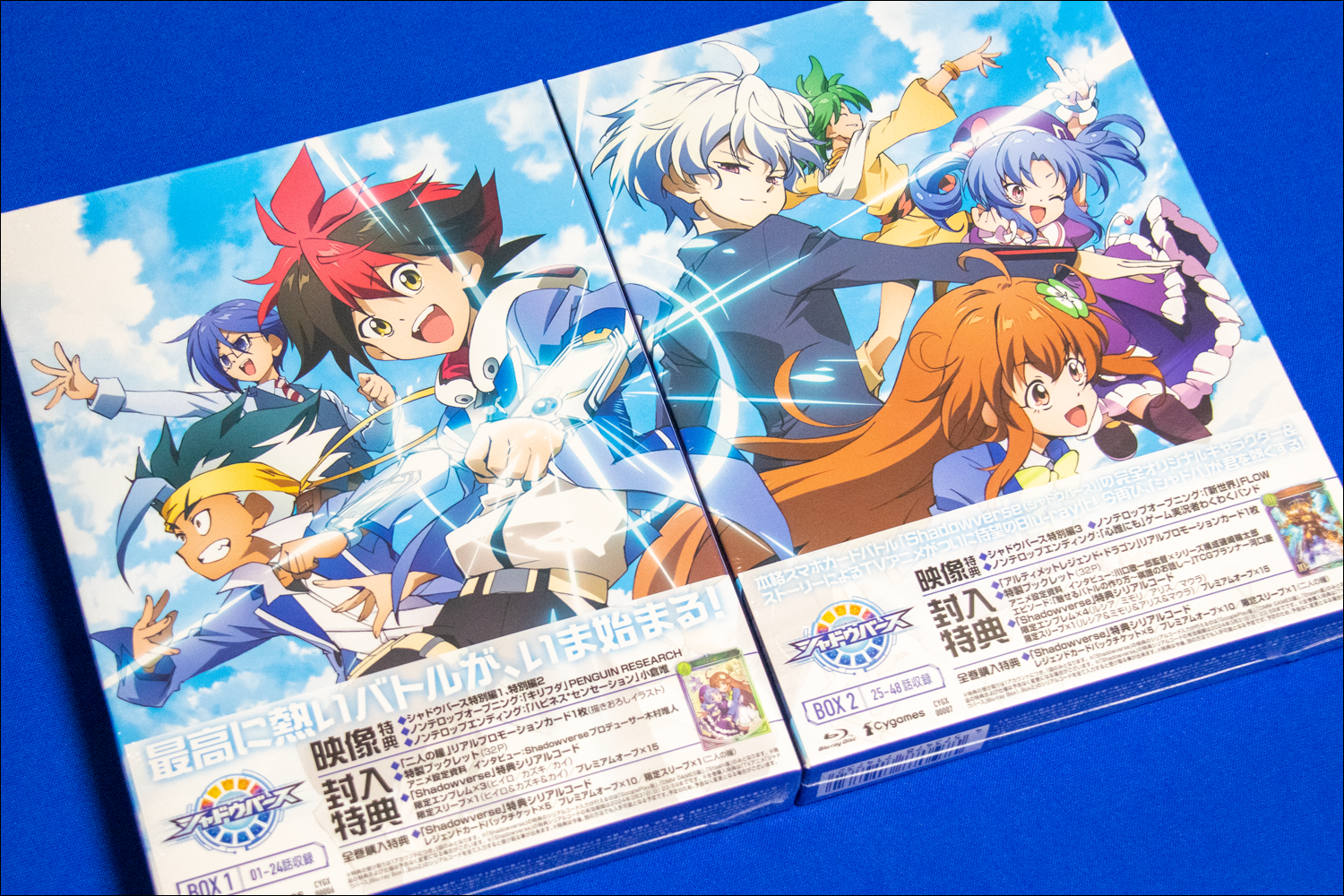 シャドウバース ブルーレイ プロモカード付き 【公式通販】