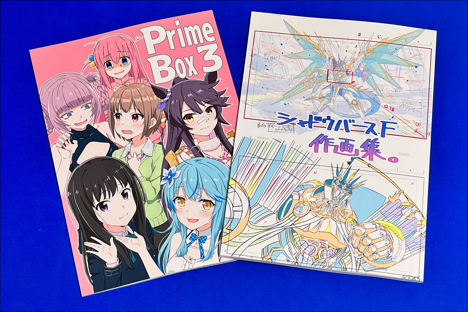 コミケ101でツルネのクリアファイルやアニシャドF作画集をゲットしてき 