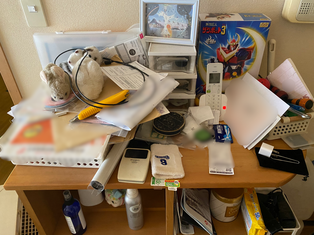 なんとかやる気をどこからか見つけてきた 汚部屋 片付け 掃除日記 なんとかやる気をどこからか見つけてきた 汚部屋 片付け 掃除日記