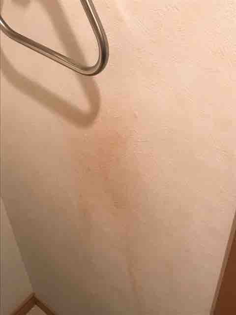 トイレの赤カビを追放 汚画像注意 汚部屋 片付け 掃除日記
