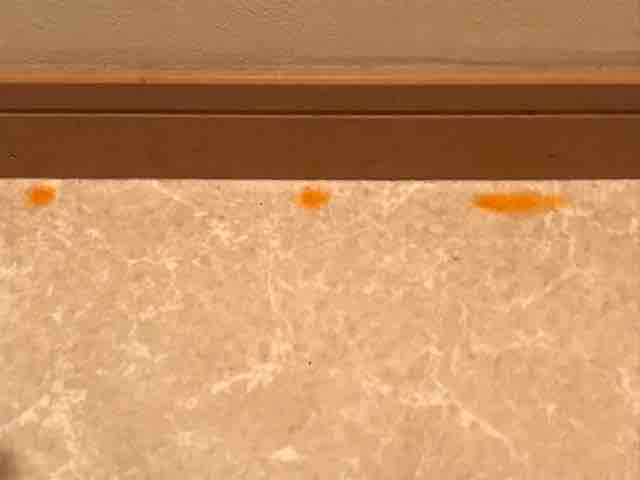 トイレの赤カビを追放 汚画像注意 汚部屋 片付け 掃除日記
