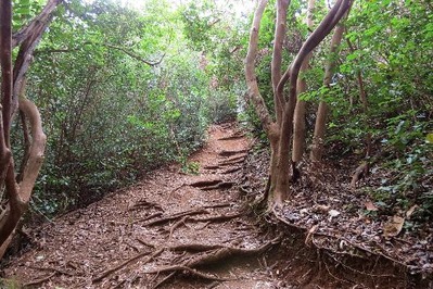 sleeping-giant-trail