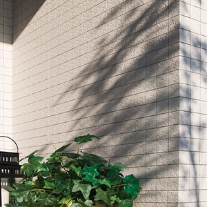 SG_P28_CXseries_03-1