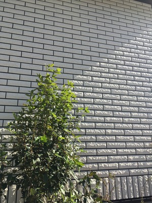 春日野17　タイル　