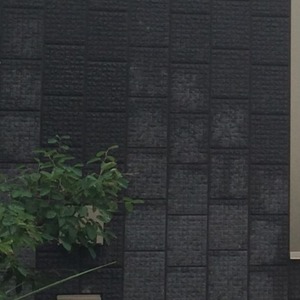 IMG_7067 - コピー