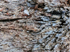 7a1faecaebf240e840198a5e77bbe5d7_m