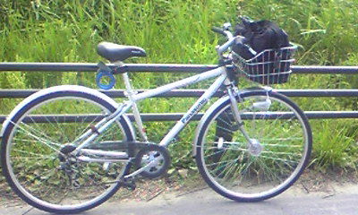 D38☆16800円☆整備済み スポーツ中古自転車☆Panasonic 【クロス