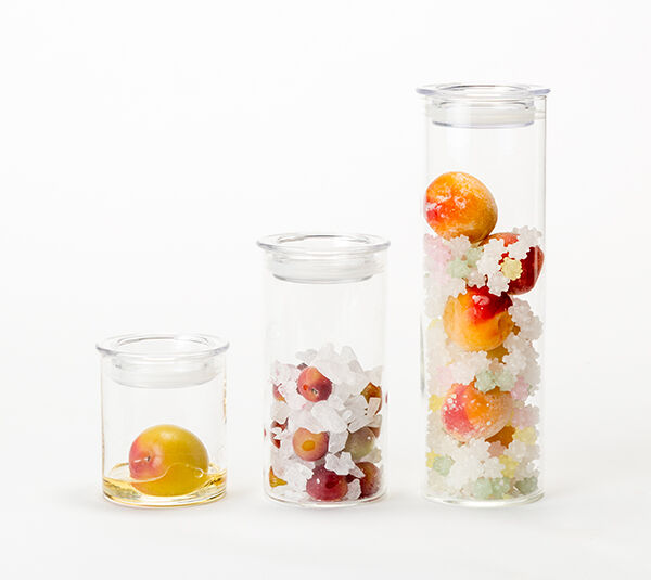 期間限定 自宅で自分だけの梅シロップ 梅酒が作れる 蝶矢梅キット をオンラインで販売 さけにゅー 酒news
