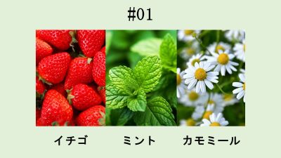 白鶴ジン2