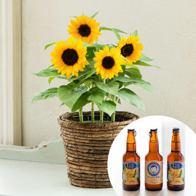 ディノス父の日9