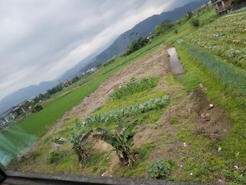 カバラン15