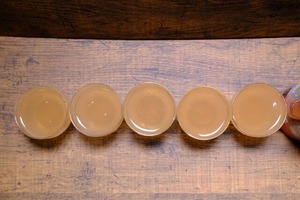 本搾り逆さ缶12