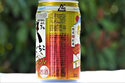 飲んでみたいいちこハイボール2