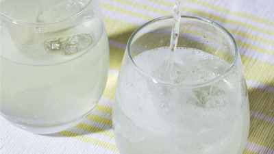 ハードセルツァーの素2