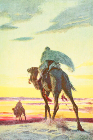 さけダイアリー78