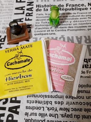 カイロ団長とお茶