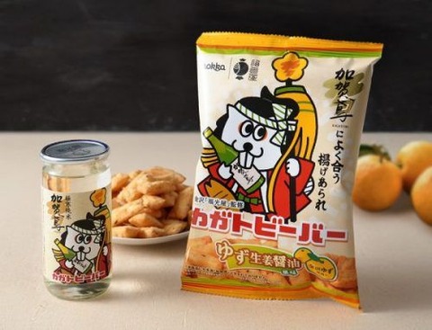 カガトビーバー2