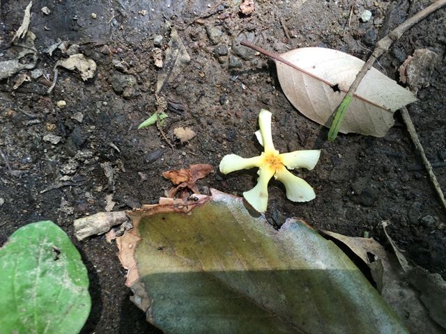 �ƥ���������