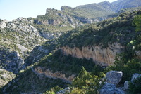 DSC01303