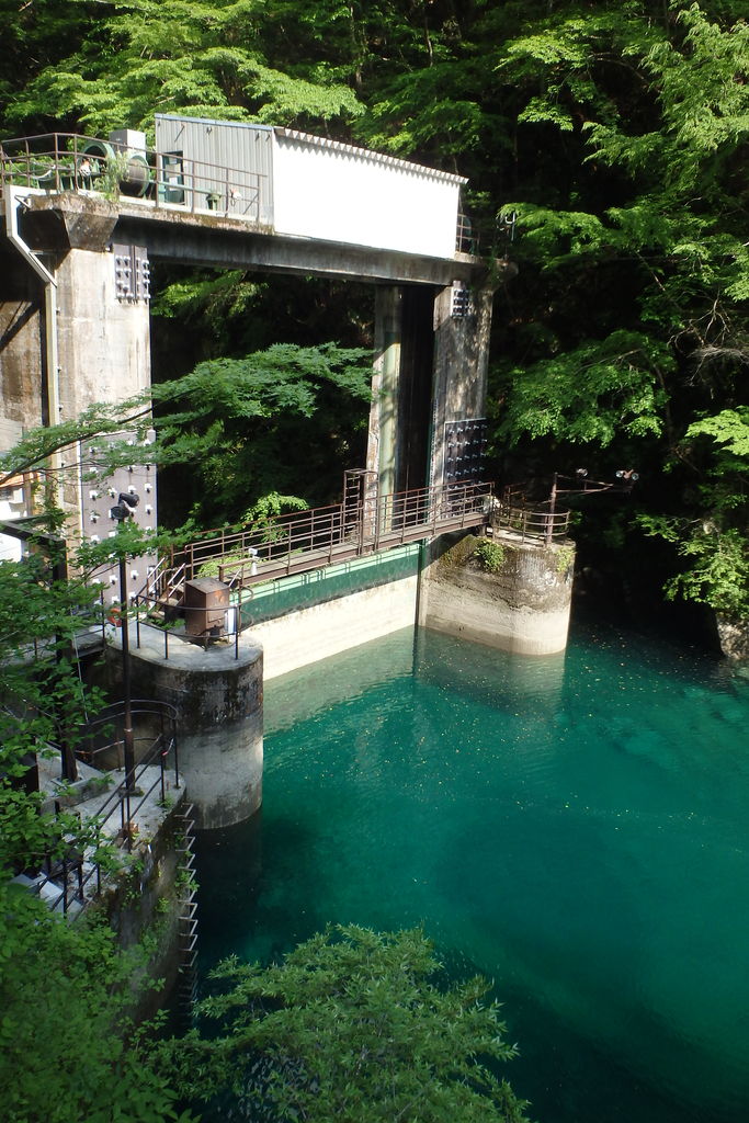 西丹沢 玄倉川 同角沢 : Go for it !