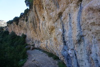 DSC01304