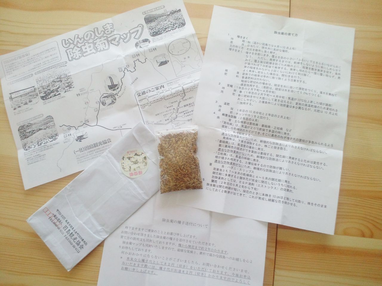 尾道市因島から届いた 除虫菊の種 嬉しいな Clinicalartのblog 09 16 尾道市因島から届いた 除虫菊の種 嬉しいな Clinicalartのblog 09 16