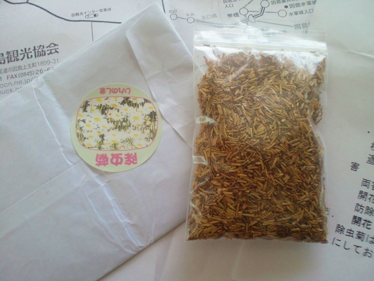 尾道市因島から届いた 除虫菊の種 嬉しいな Clinicalartのblog 09 16 尾道市因島から届いた 除虫菊の種 嬉しいな Clinicalartのblog 09 16