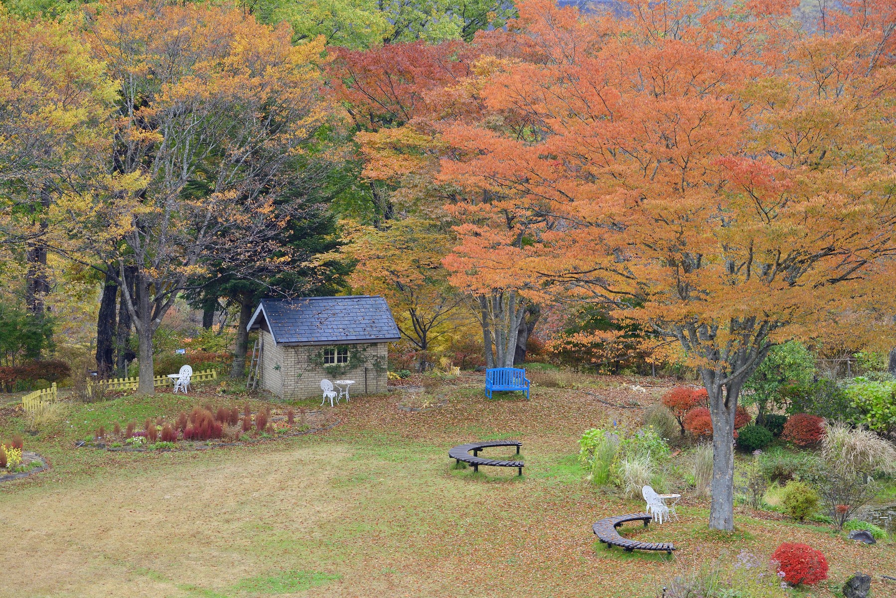 紅葉を求めて18 仙台泉ボタニカルガーデン クリントンのひとりごと