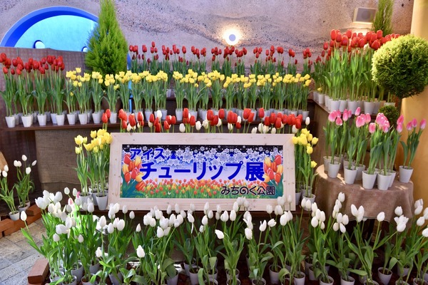 �פ�����ơ֥��������塼��å�🌷 �פȤ��䤹�ߥ��󥰡�Piano Man��