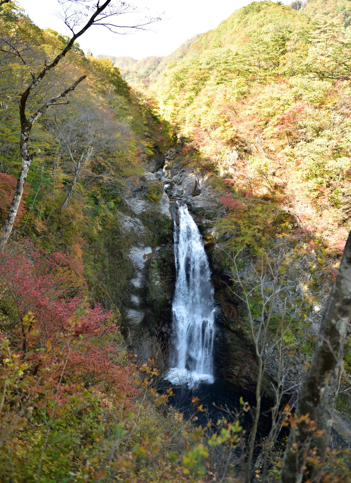 秋保大滝と紅葉 クリントンのひとりごと 秋保大滝と紅葉 クリントンのひとりごと