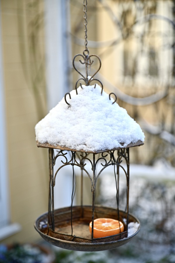 �ڤ�����☃️