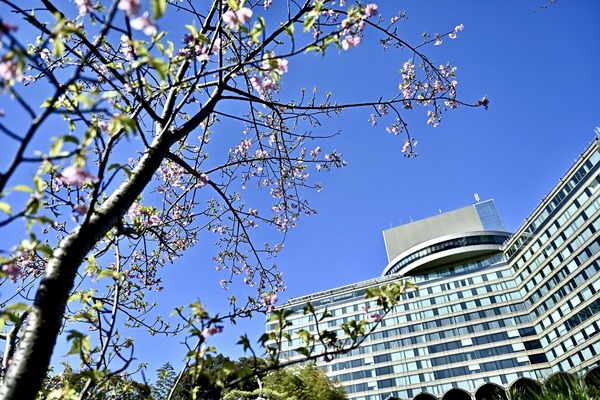 �פ�����ơ֥ۥƥ�˥塼����������������פ��䤹�ߥ��󥰡֥�ƥ��϶�α�������