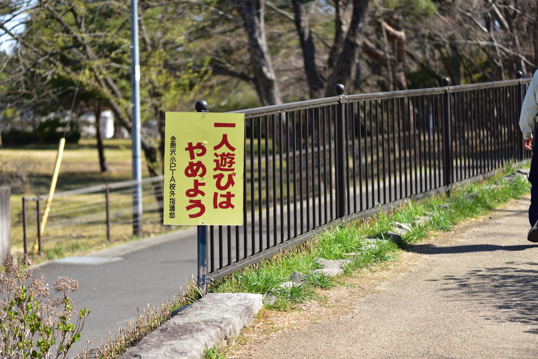 隠れた桜名所 クリントンのひとりごと