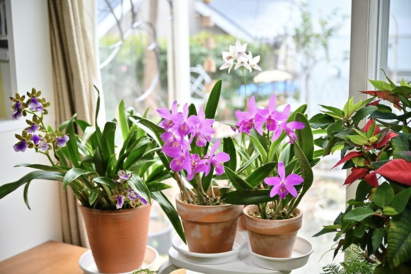 ��������