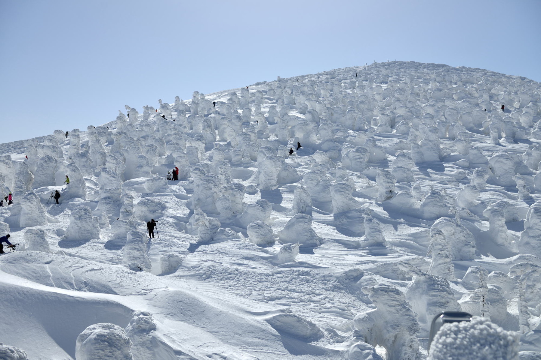 樹氷を見てきました 山形蔵王高原 クリントンのひとりごと 樹氷を見てきました 山形蔵王高原 クリントンのひとりごと