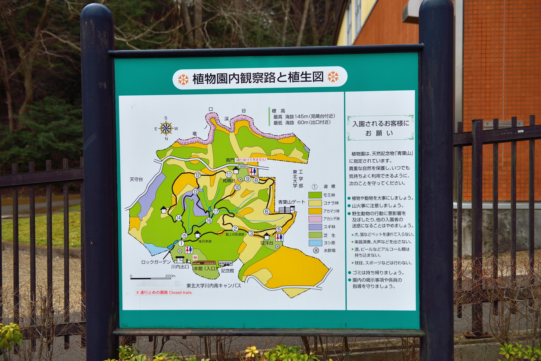 東北大学 植物園 天然記念物 青葉山 クリントンのひとりごと