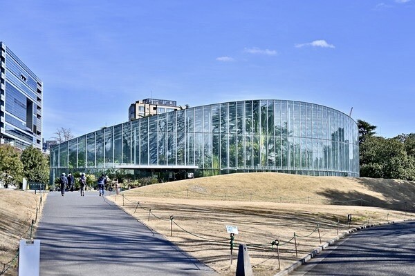 �פ�����ơֿ��ɸ���粹���ΥХå��䡼�ɥĥ����פȤ��䤹�ߥ��󥰡ֲƤ��������������