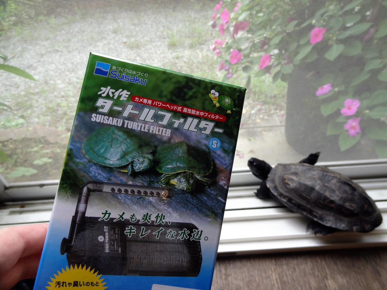 16歳です クリントンのひとりごと