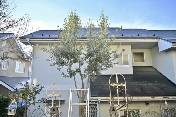 �����ǥ˥󥰡ʥ��꡼�֤ζ������