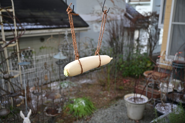 ��Ť��ꤿ������