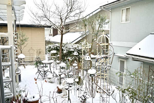 �ߤ�ޤ���☃️