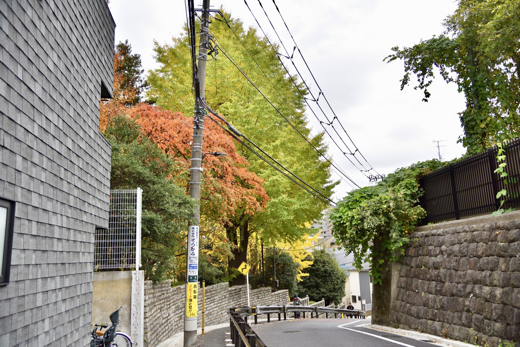 東京いろいろ 12月 根津神社 東京大学 弥生キャンパス クリントンのひとりごと